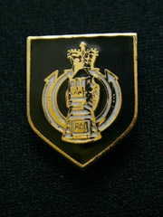 Royal Armoured Corps Lapel Badge