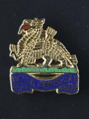 Royal Berkshire lapel badge