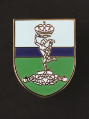 Royal Signals lapel badge