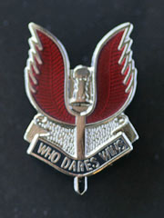 Special Air Service lapel badge