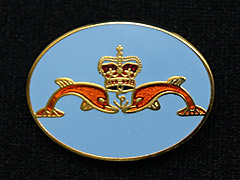 Submariners Dolphins Oval Shield Lapel Badge