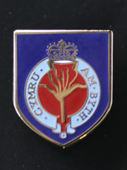 Welch Guards lapel badge