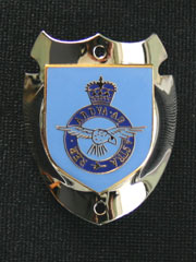 RAF Crested Walking Stick Badge