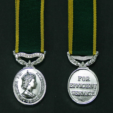 Territorial Efficiency Medal EIIR