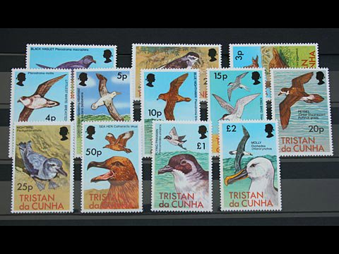 Tristan Da Cunha 1977 Birds Mint Stamp Set