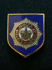 Brigade of Guards Lapel Badge
