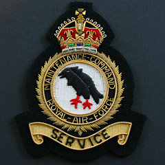 RAF Blazer Badges