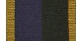 TAVR Efficiency Medal Ribbon
