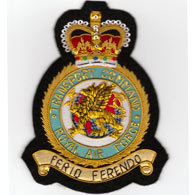 RAF Transport Command wire blazer badge
