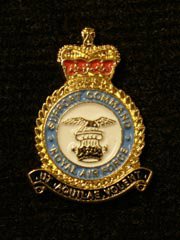 RAF Support Command Lapel Badge