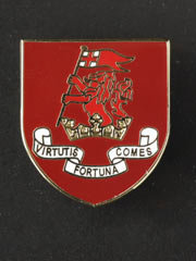 Duke of Wellingtons lapel badge